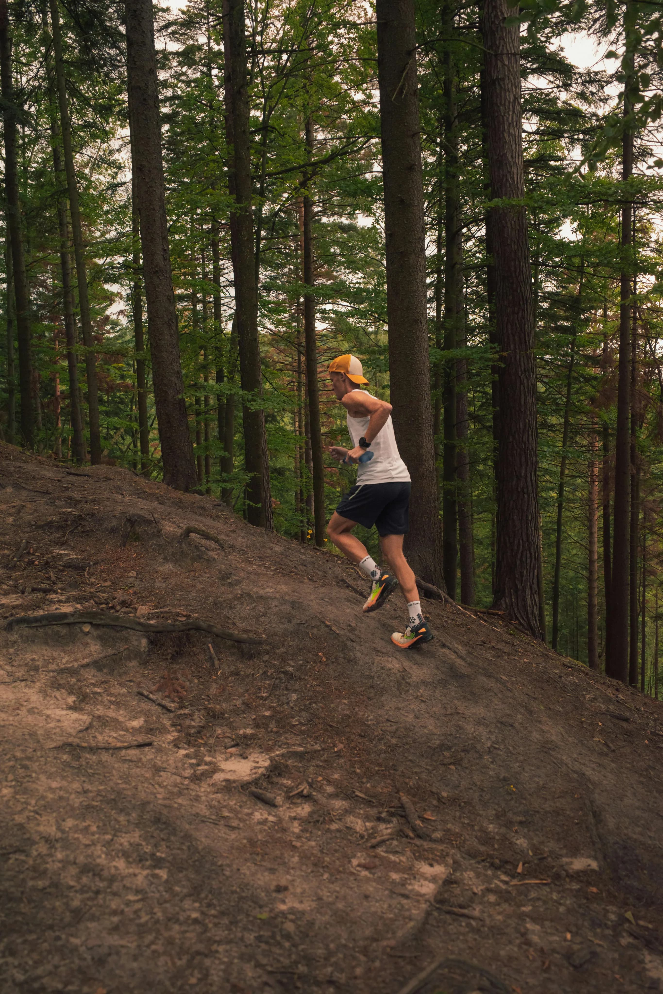 Helhetlig helse og livsstil i Fitconcept